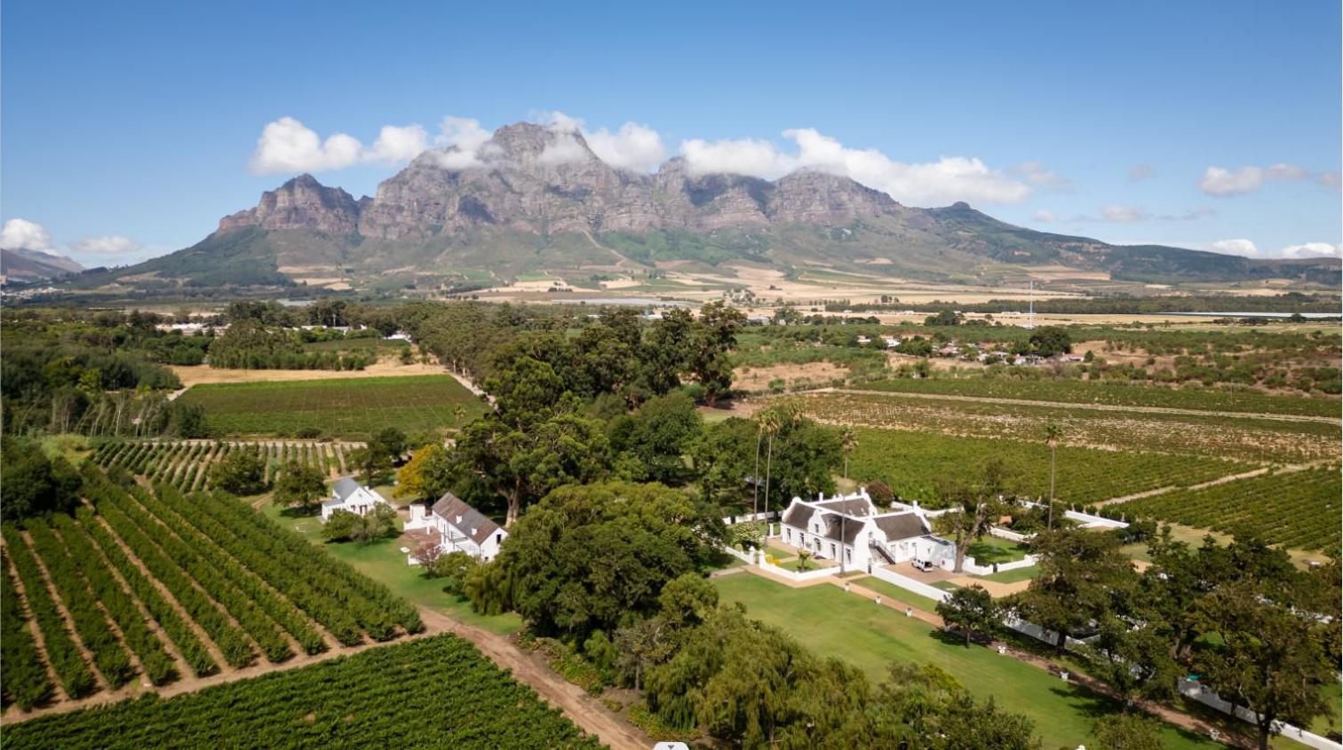 Allee Bleue Wine Estate Simondium Dış mekan fotoğraf